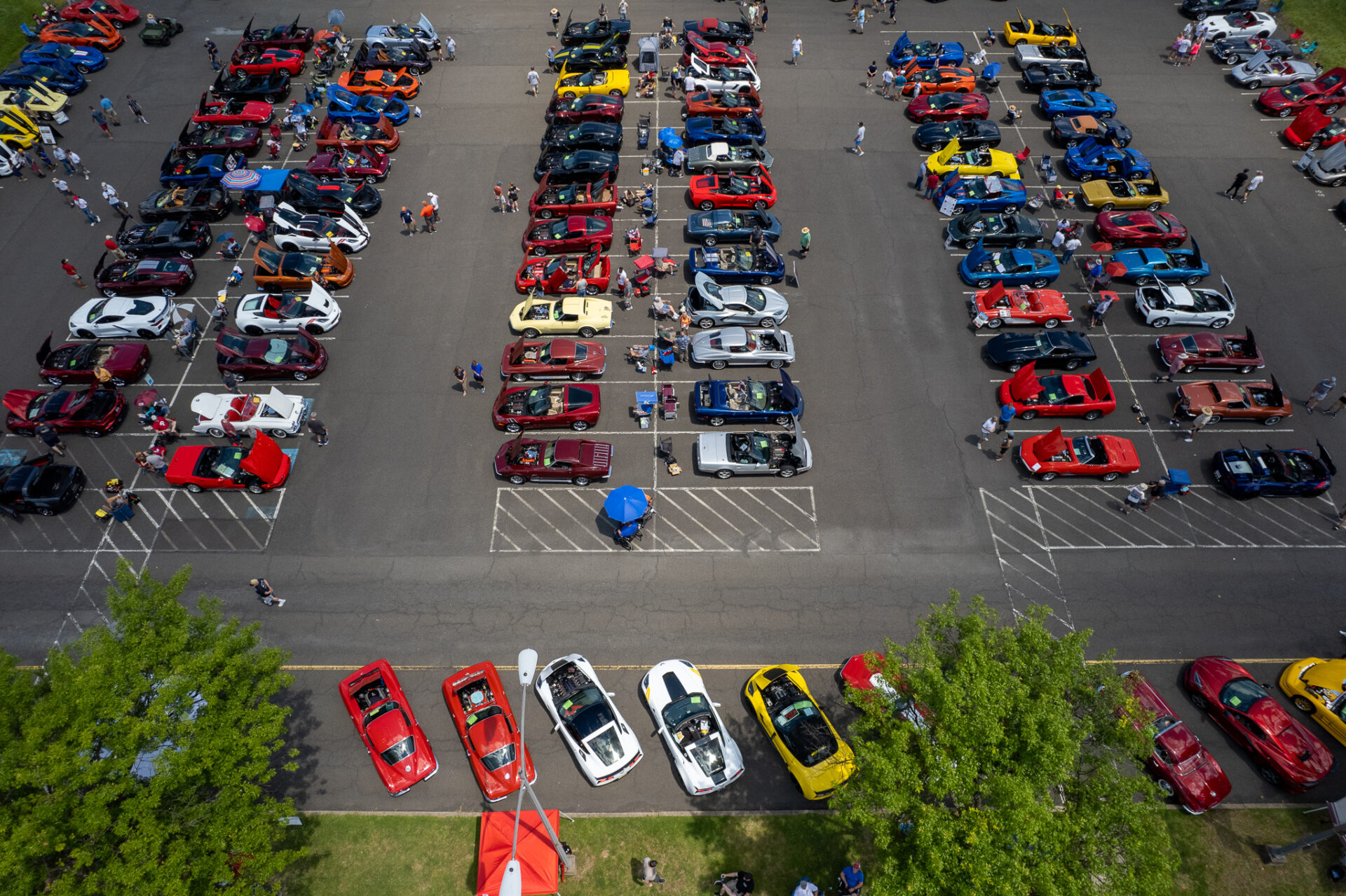 50th Cavalcade of Corvettes Corvette Club of Delaware Valley